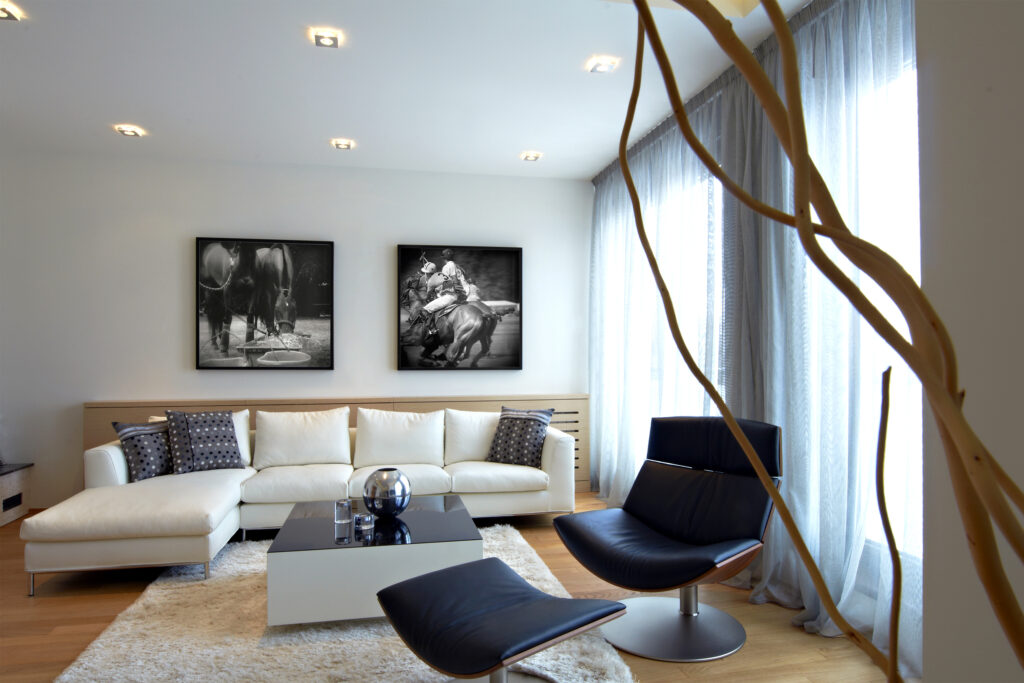 Equine photography, horse photography and equestrian photography by commercial photographer Monica Stevenson