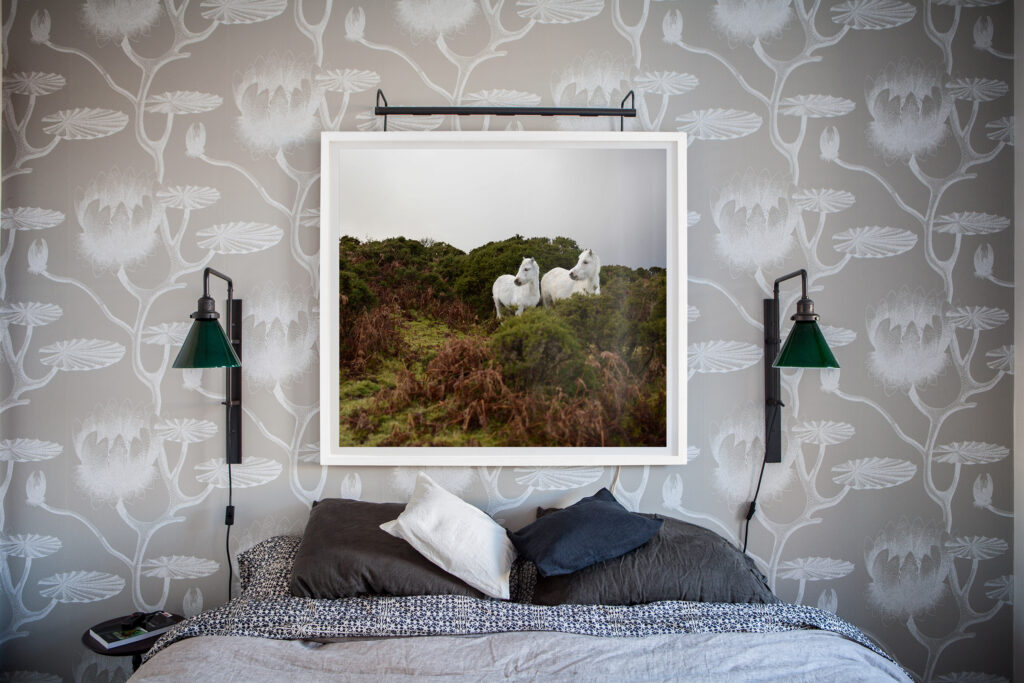 Equine photography, horse photography and equestrian photography by commercial photographer Monica Stevenson