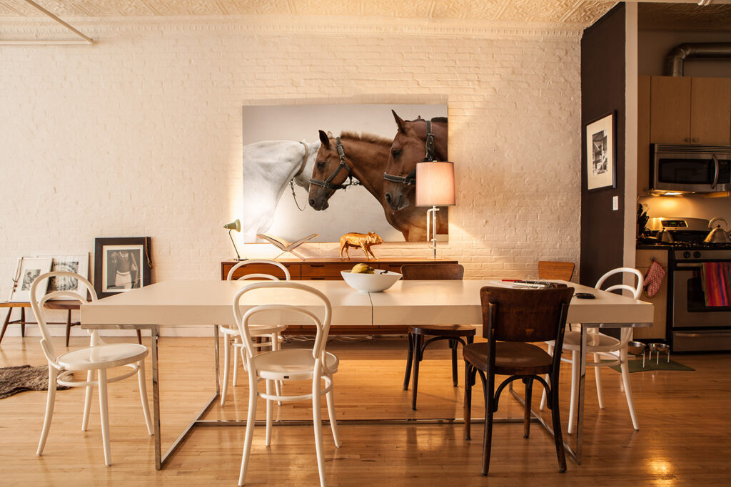 Equine photography, horse photography and equestrian photography by commercial photographer Monica Stevenson